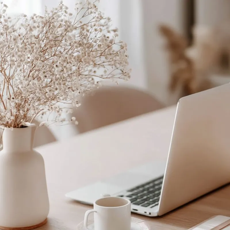 Minimal desk workspace with laptop and plant representing AI content creation tools