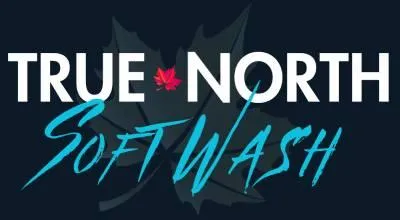 True North Soft Wash Brand Logo