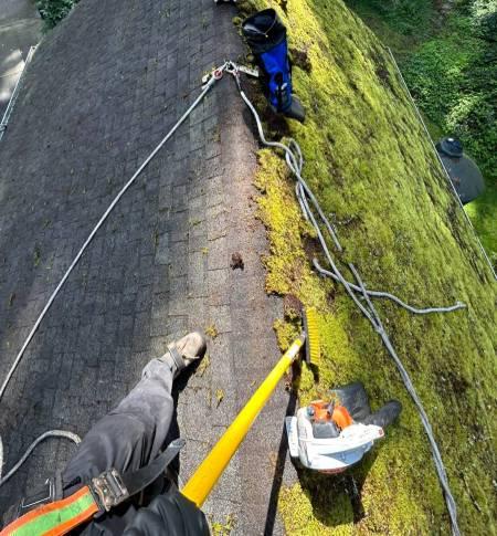 A man removing the moss off a roof in Vancouver, BC. 