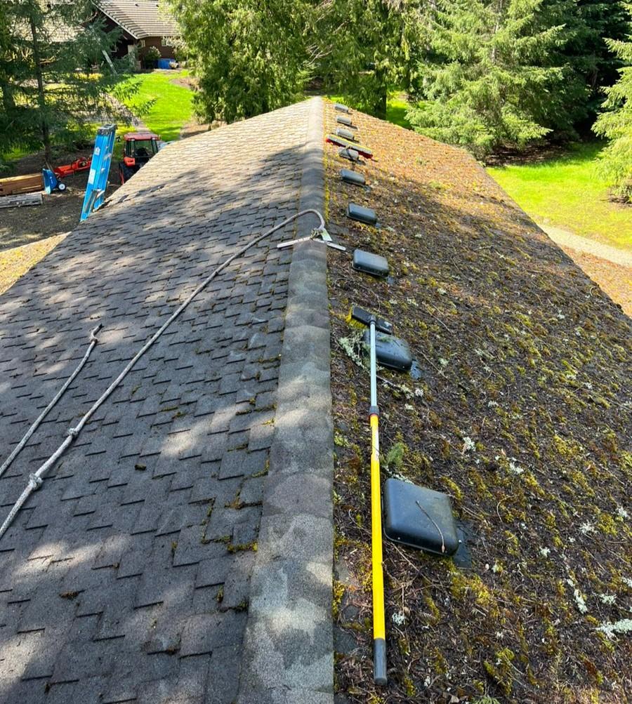 A roof where the moss has been removed, he roof has been cleaned, and all organics have been removed.