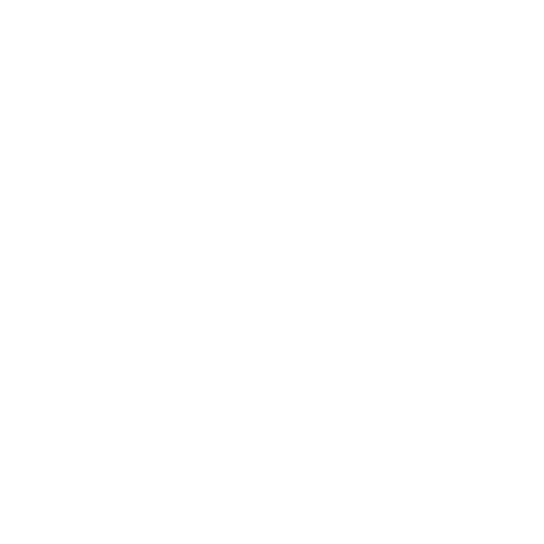 Buckle Buddy Seatbelt Dummy Silencer