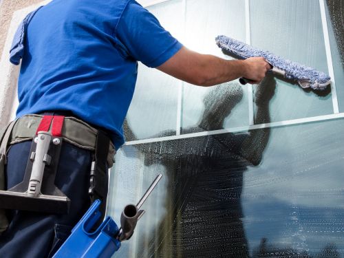 Interior High Dusting WEST BLOOMFIELD, MI