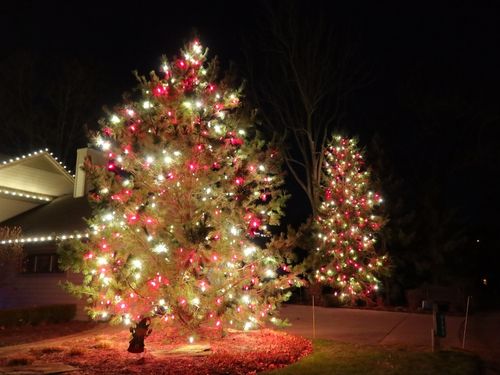WATERFORD, MI Christmas Light Installation