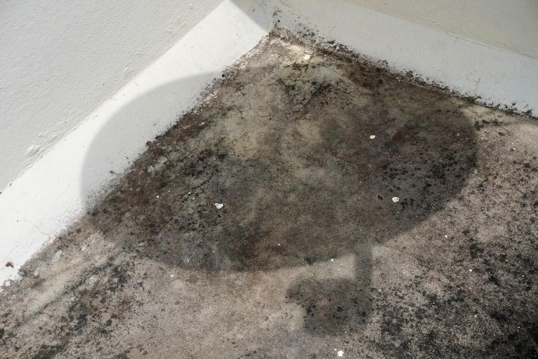 sewage damage cleanup
