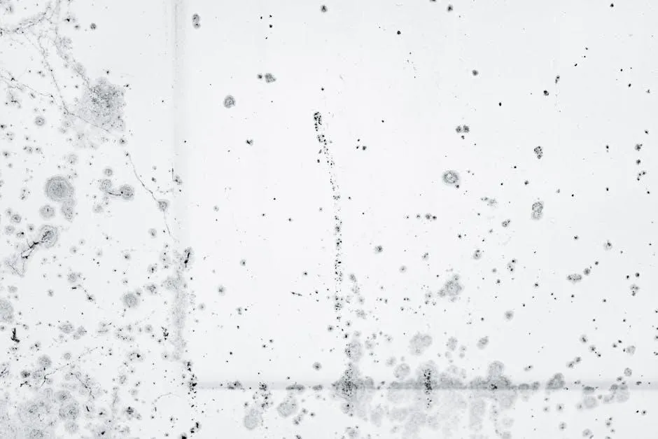 Georgia Mold Testing: Don't Get Stuck in a Sticky Situation