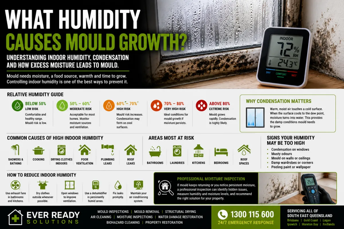 What Humidity Causes Mould Growth?