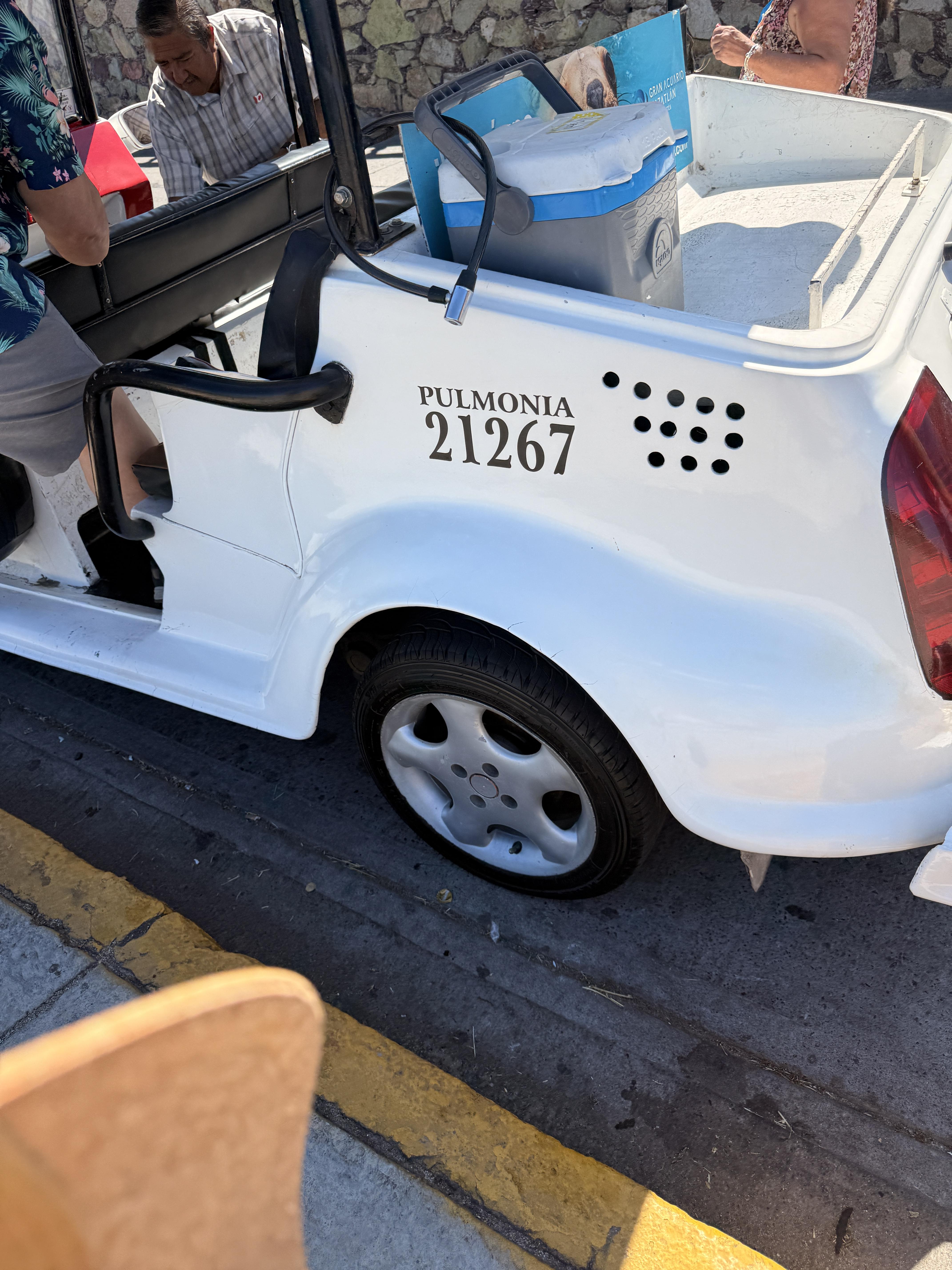 Pulmonia open air taxi unique to Mazatlán Mexico on Mexican Riviera cruise