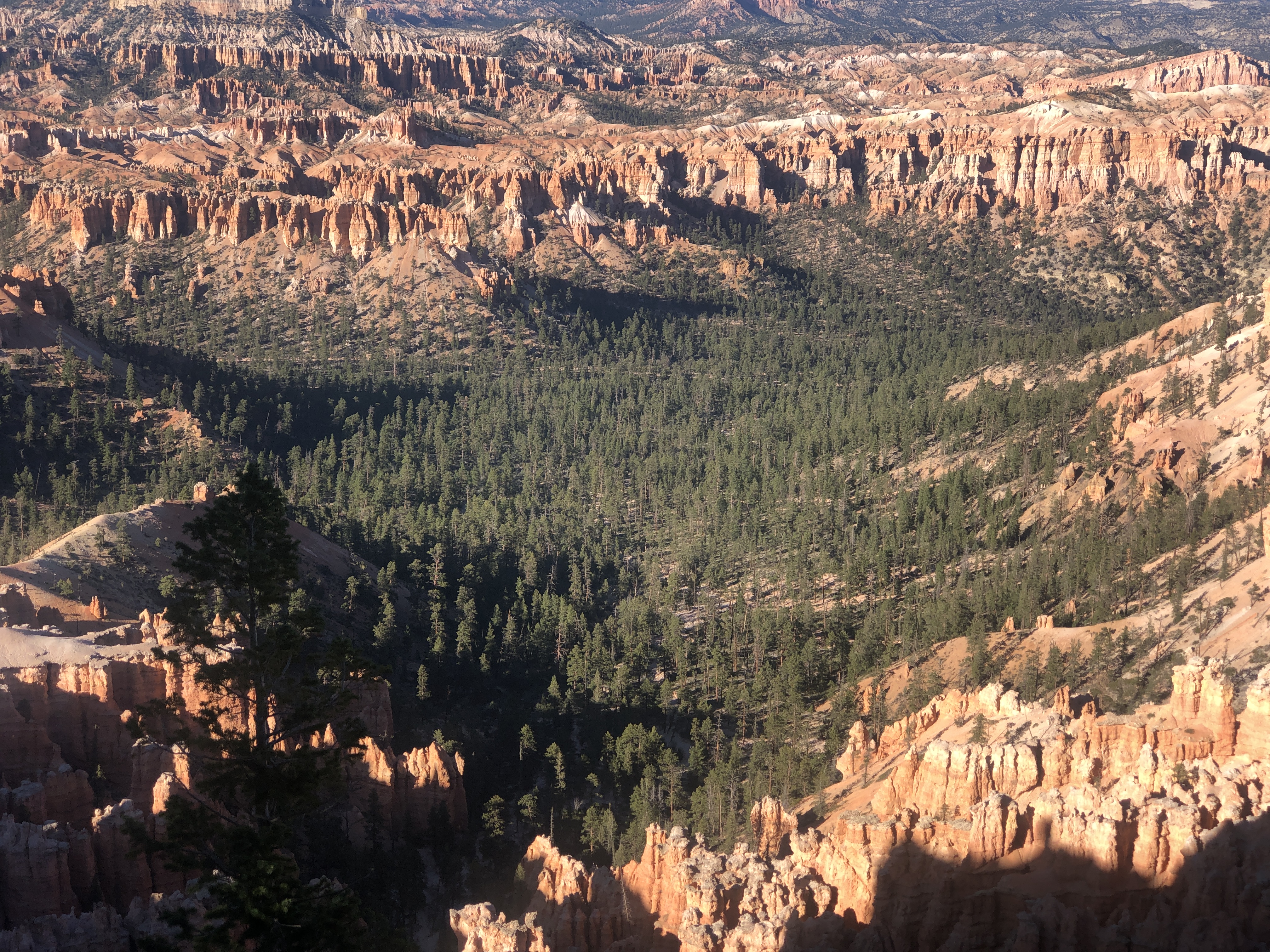 Bryce Canyons