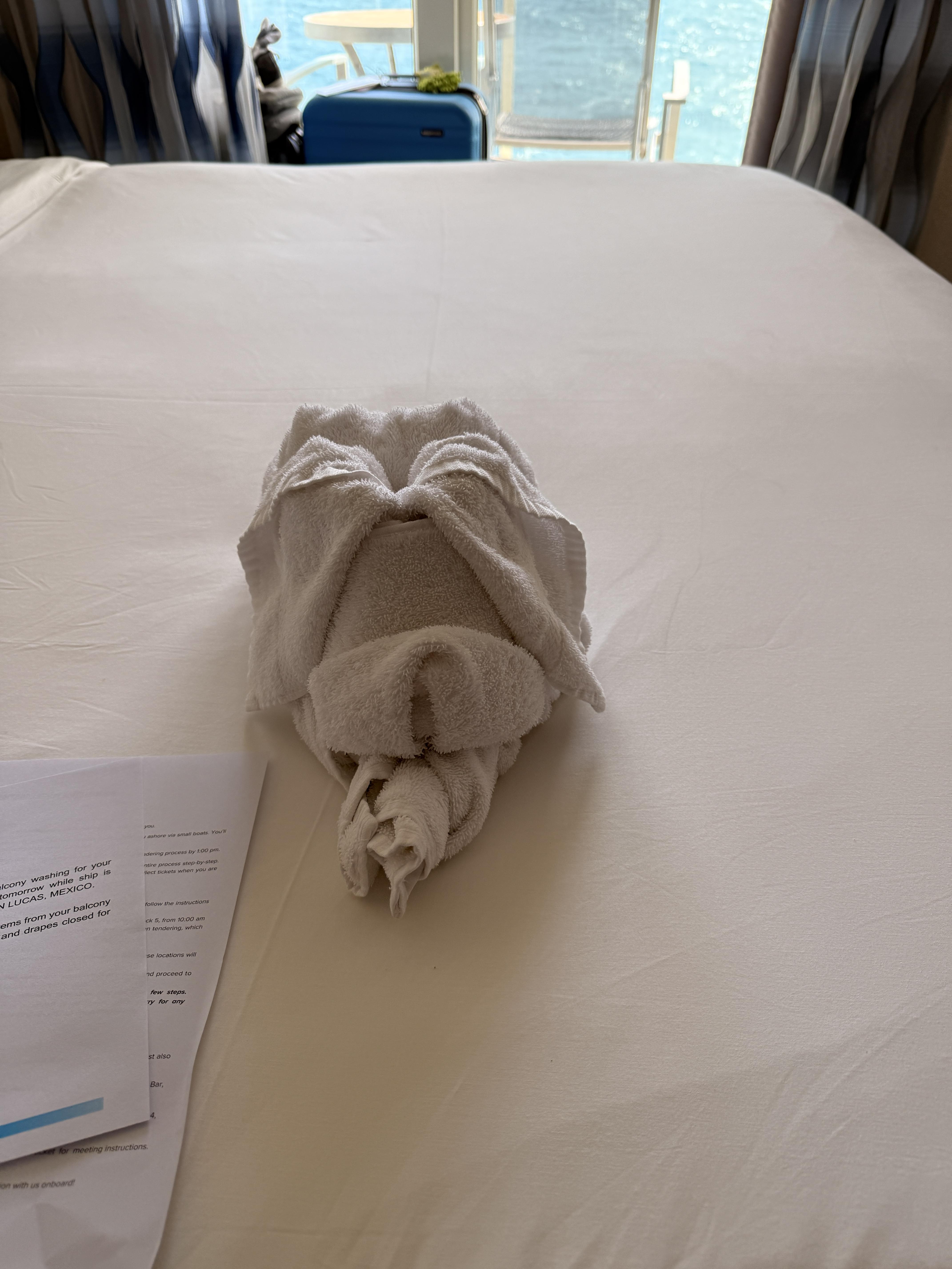 Towel Animal-Questionable Pig or Dog on the Royal Caribbean Navigation of the Seas
