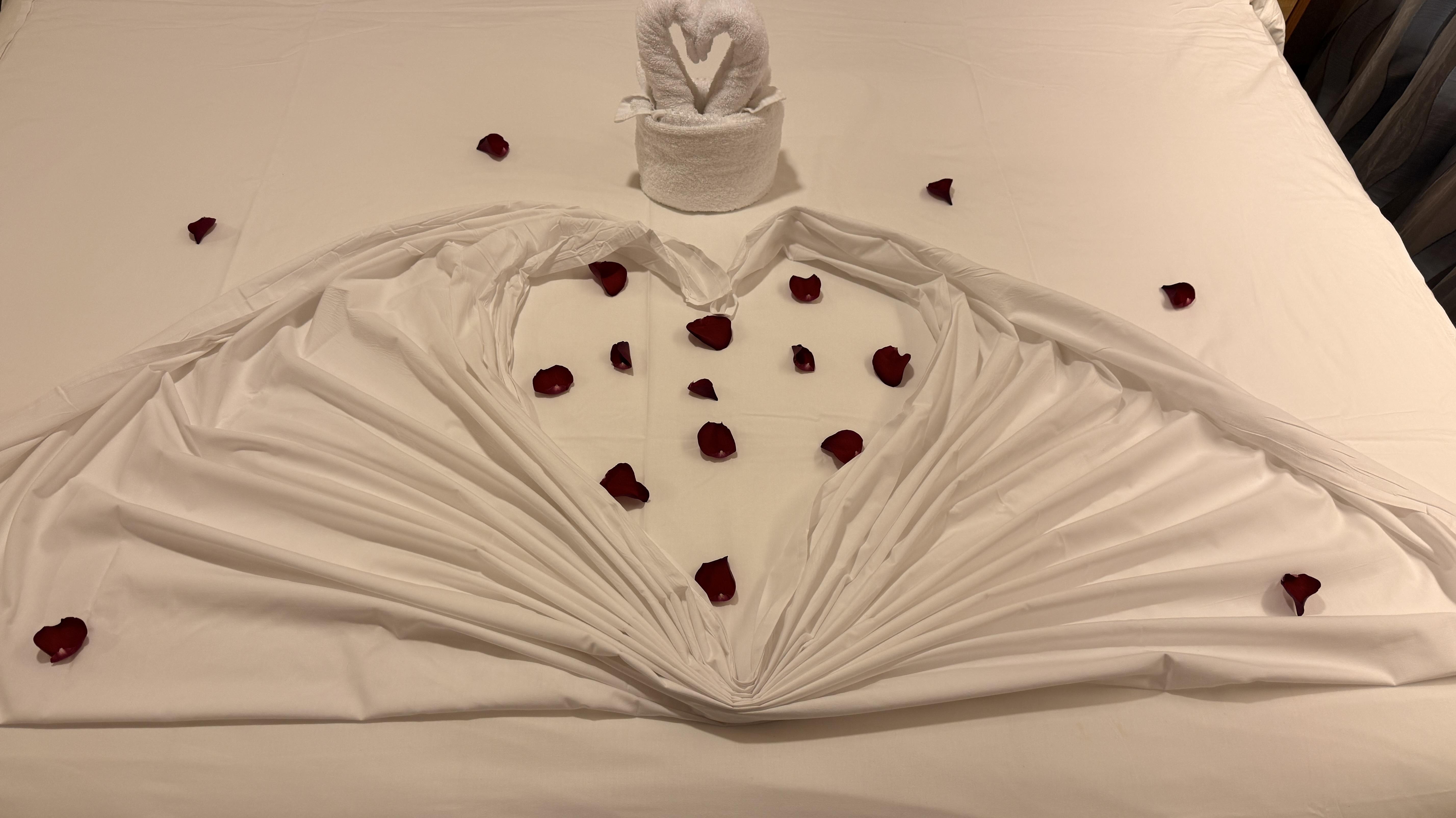 Towel Heart & Rose Petals on Royal Carribbean Navigator of the seas