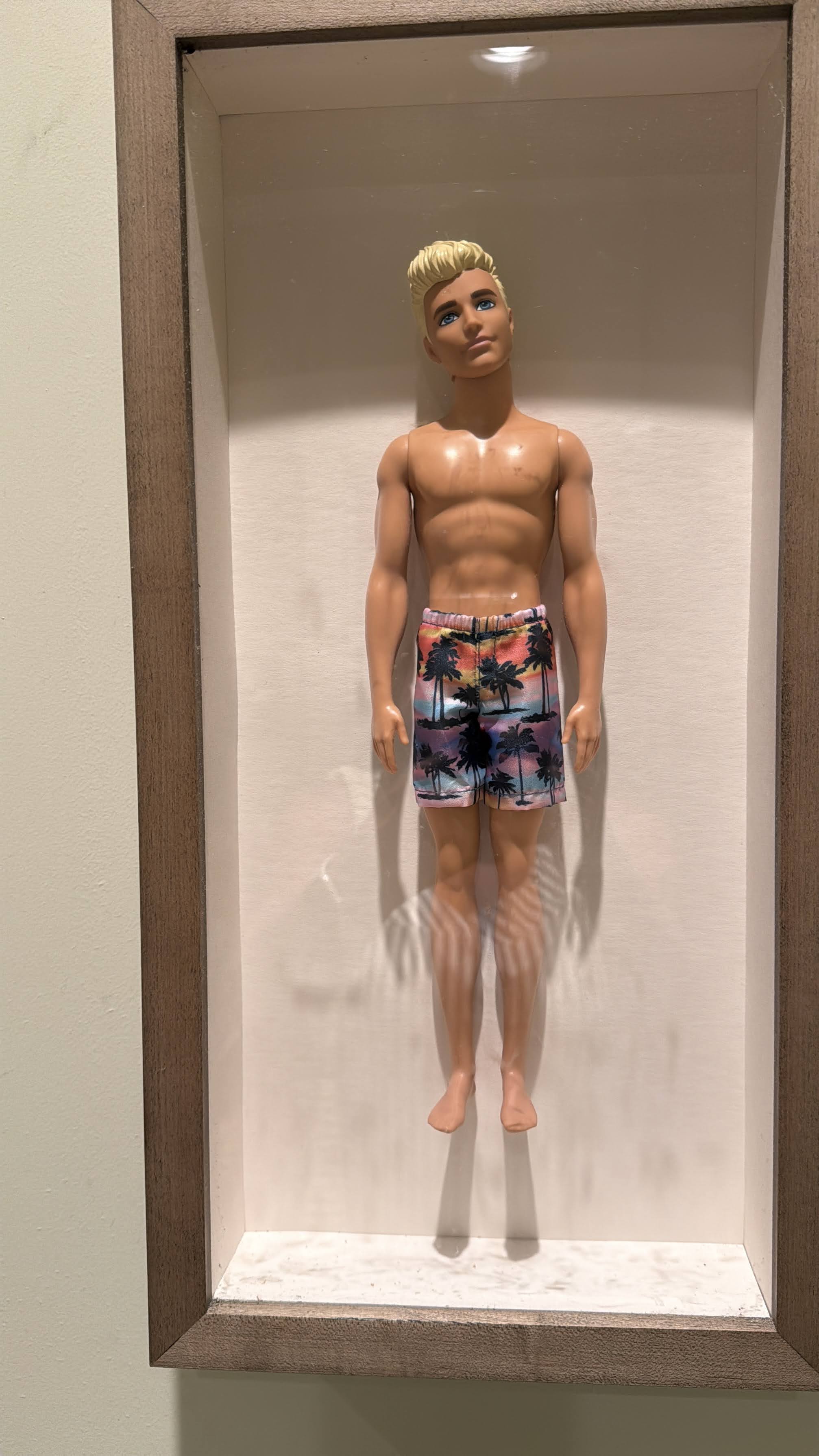 Ken/Barbie restroom shadow boxes
