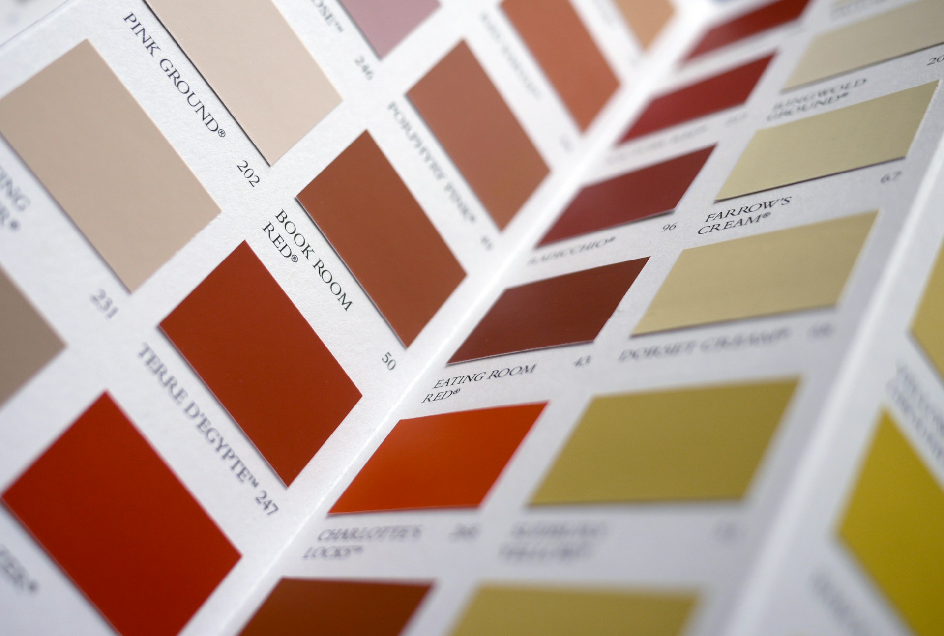 Desert-Side House Painting: Shade, Sun, and Color Choices