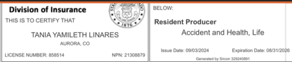 state license