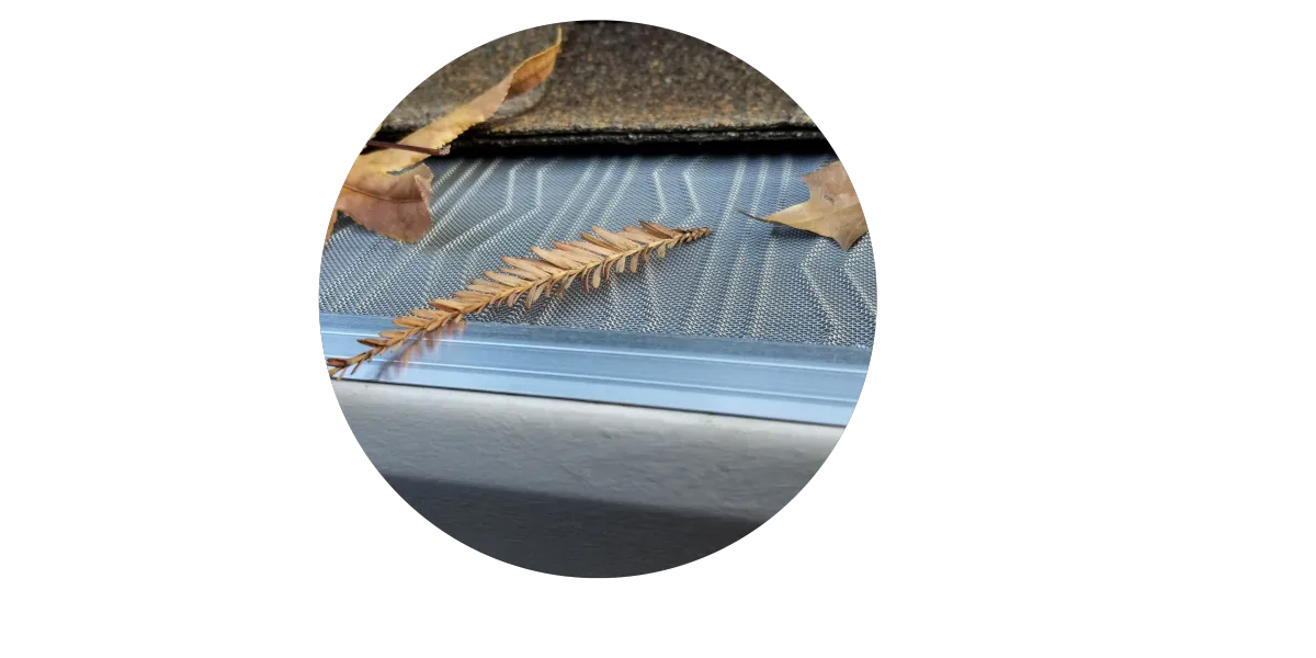 gutter protection north florida