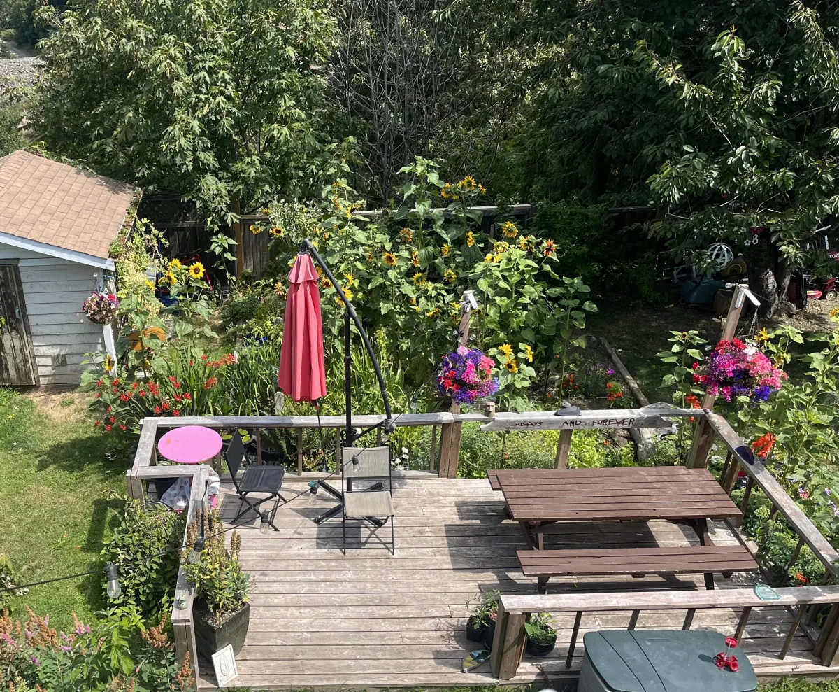 brown wooden footbridge surrounded by pink petaled flowers with creek underneath during daytime