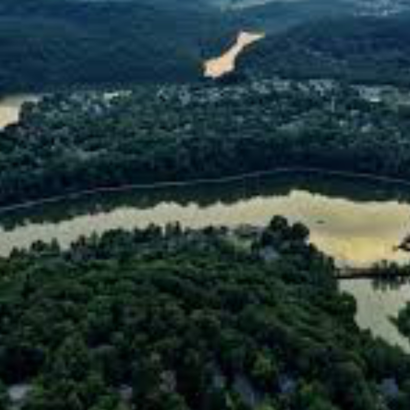 New Market FREE Custom Home Value