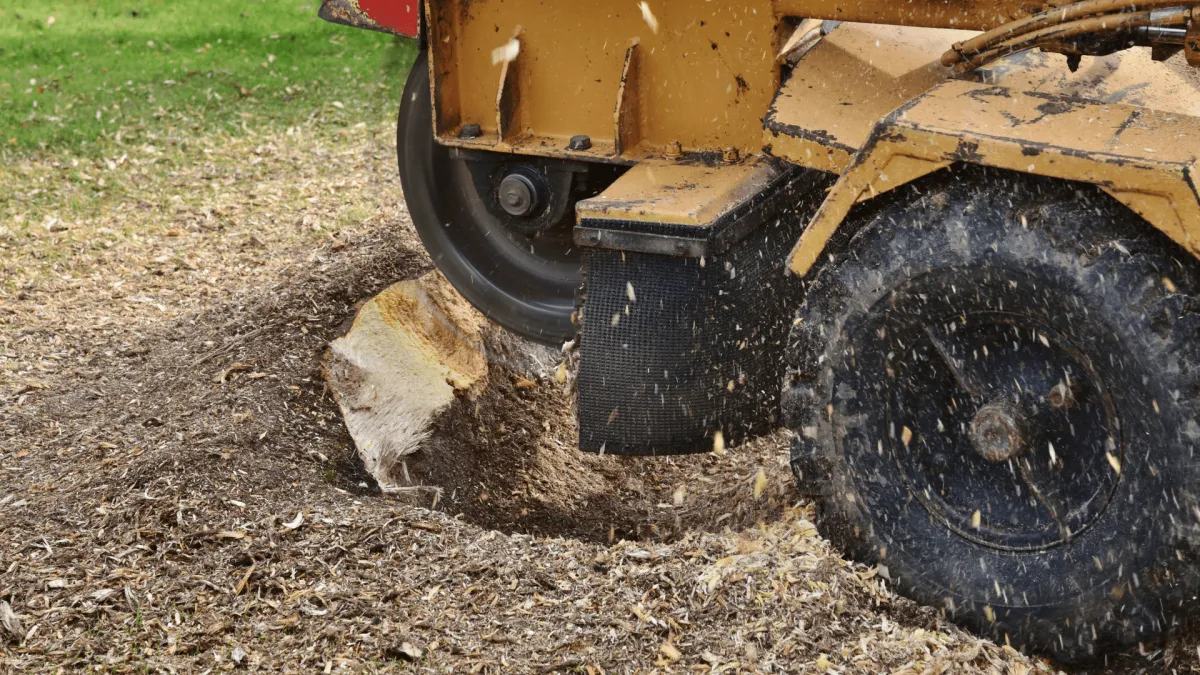 Stump Grinding