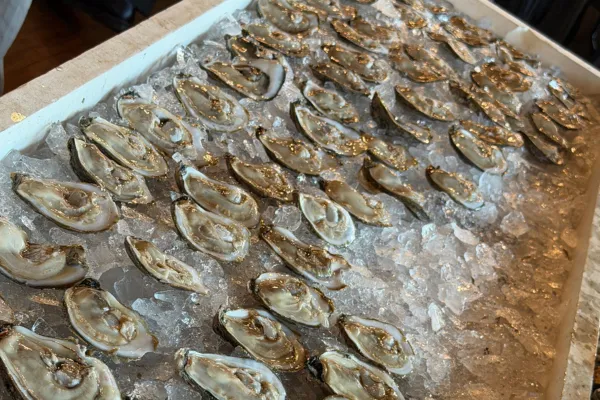 Local Oysters at Market House in Annpolis