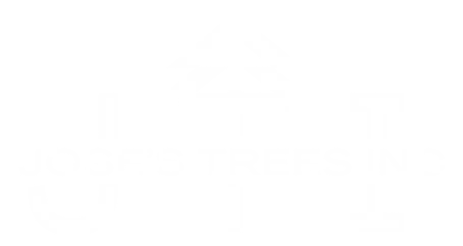 Logo Footer