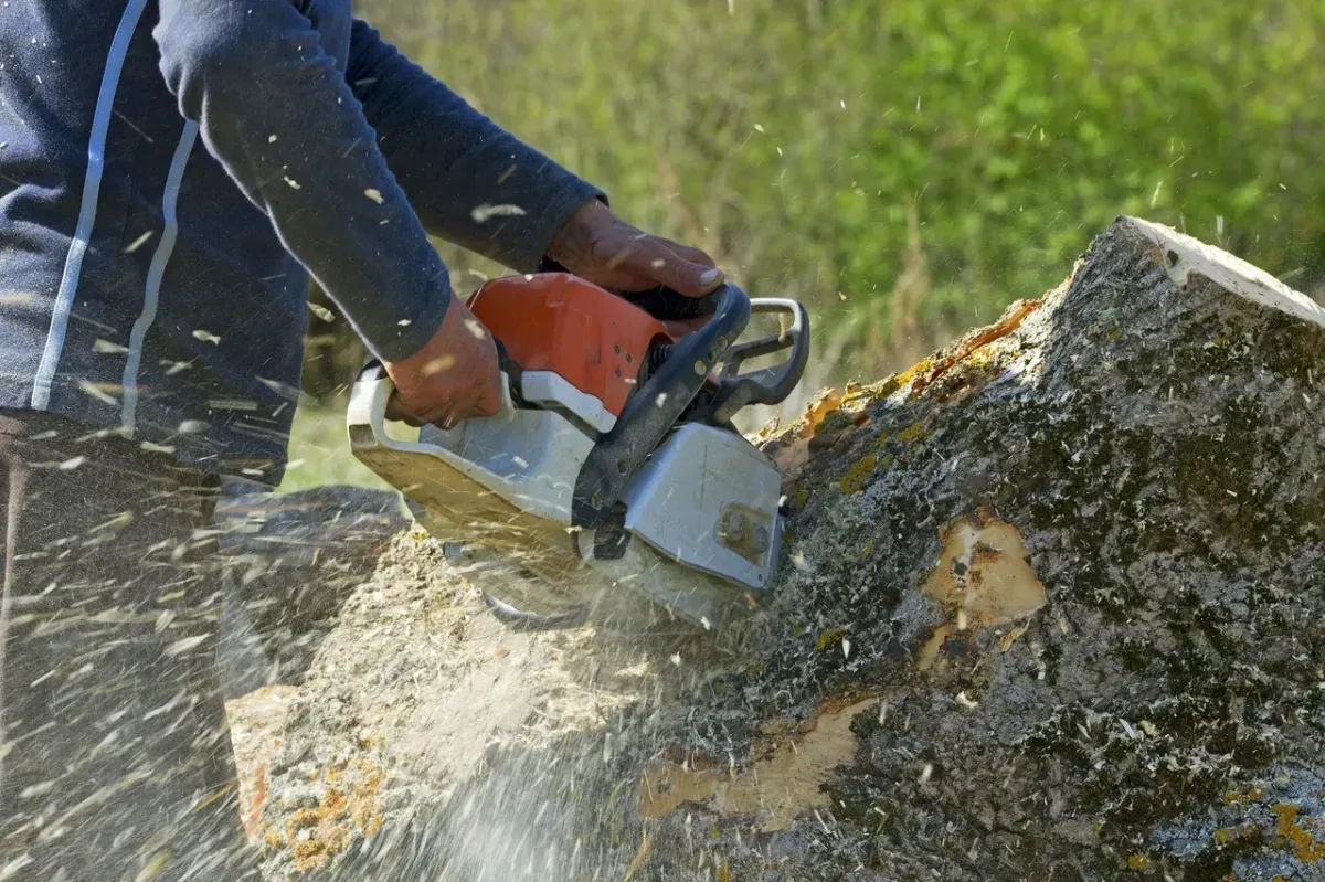 Jose’s Trees Inc