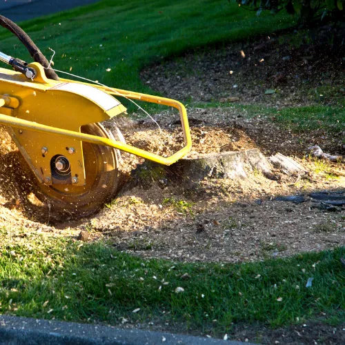 Stump Grinding