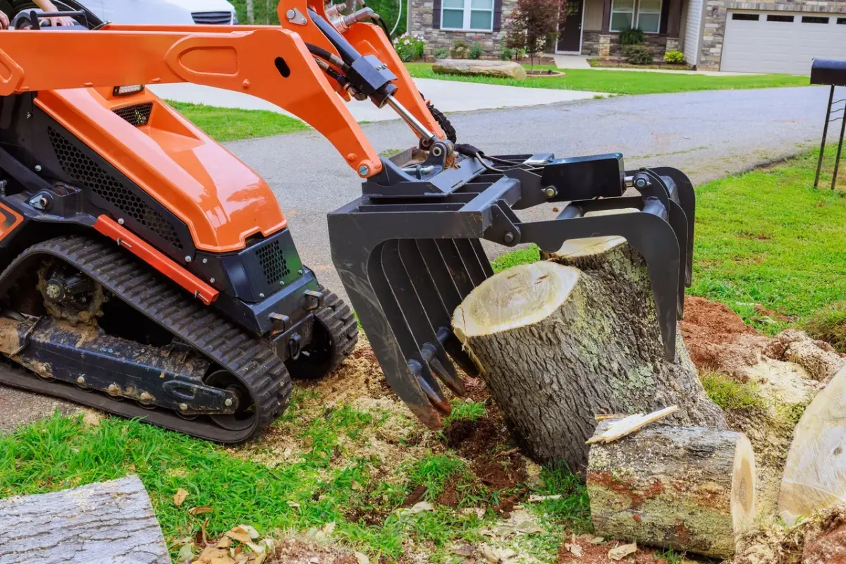 Jose’s Trees Inc