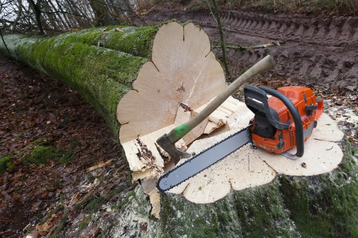 Jose’s Trees Inc
