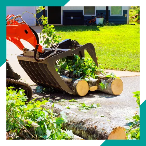 Urgent tree removal in Arlington Heights IL after storm damage