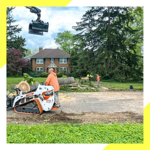 Licensed tree removal crew in Arlington Heights IL working with care