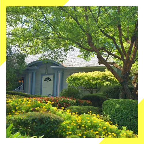 Detailed pruning service on healthy tree branches in Arlington Heights