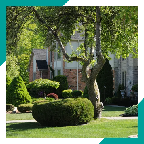 Shrub shaping service creating a neat yard in Waukegan