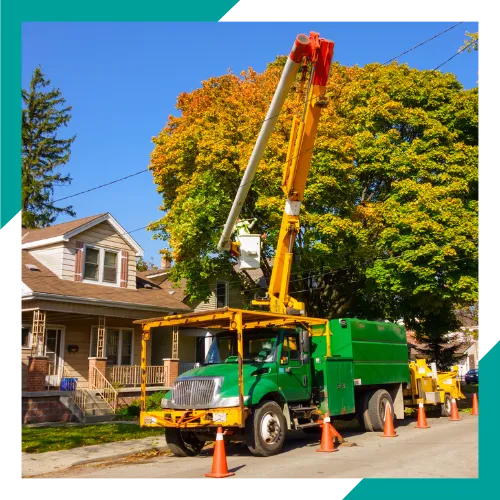 Tree service team working on residential and commercial properties