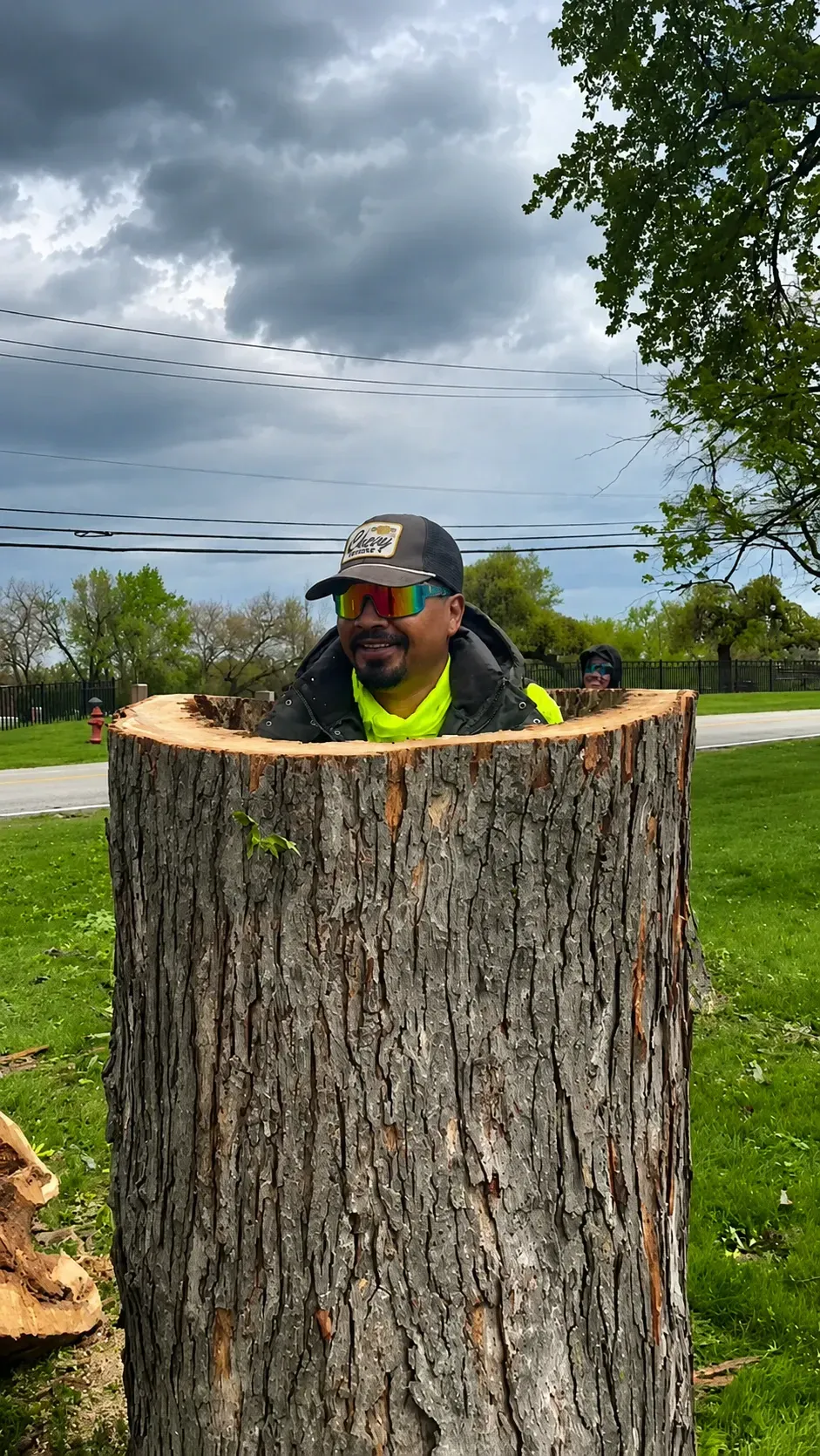 Jose’s Trees Inc