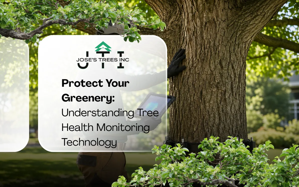 Protect Your Greenery: Understanding Tree Health Monitoring Technology