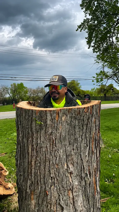 Jose’s Trees Inc