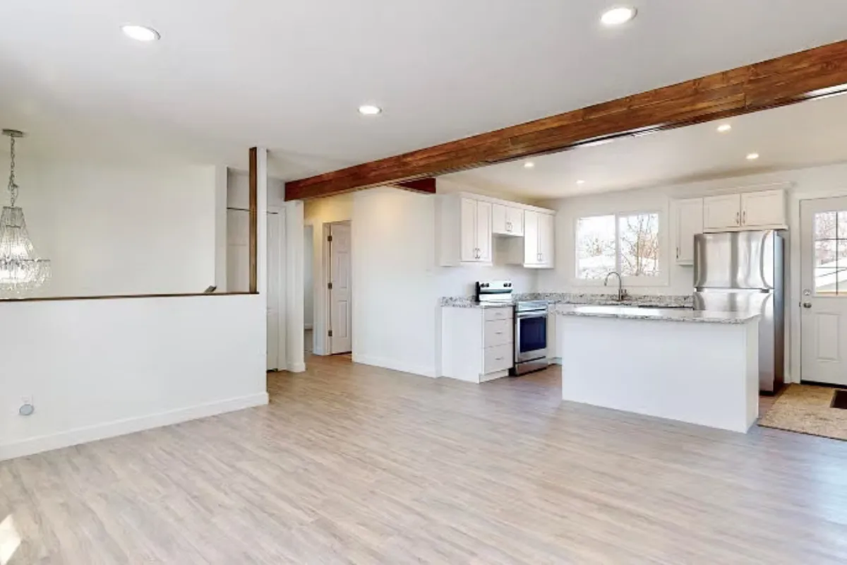 Kitchen and living room 