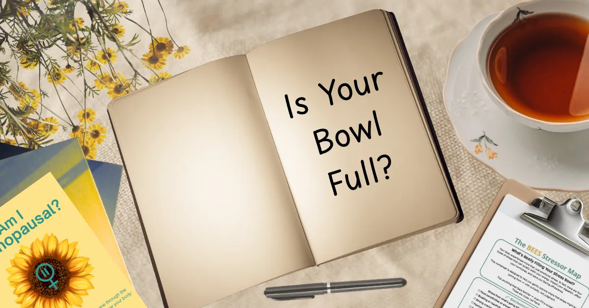 The Stress Bowl: Why You Feel So Full (Even When You’re ‘Holding It Together’)
