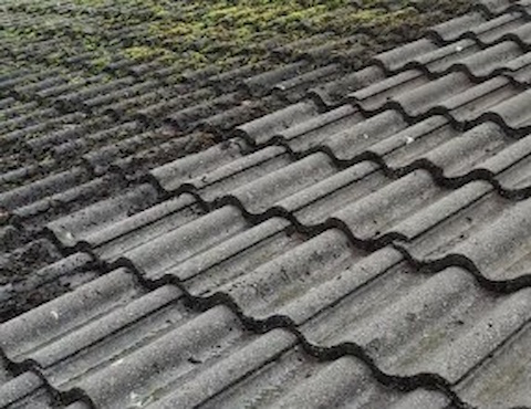Roof moss treatment and vacuum gutter clearing on Dublin residential home