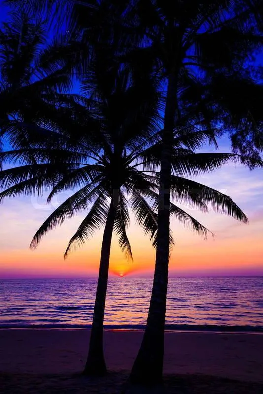 a person reading a book on a bed
