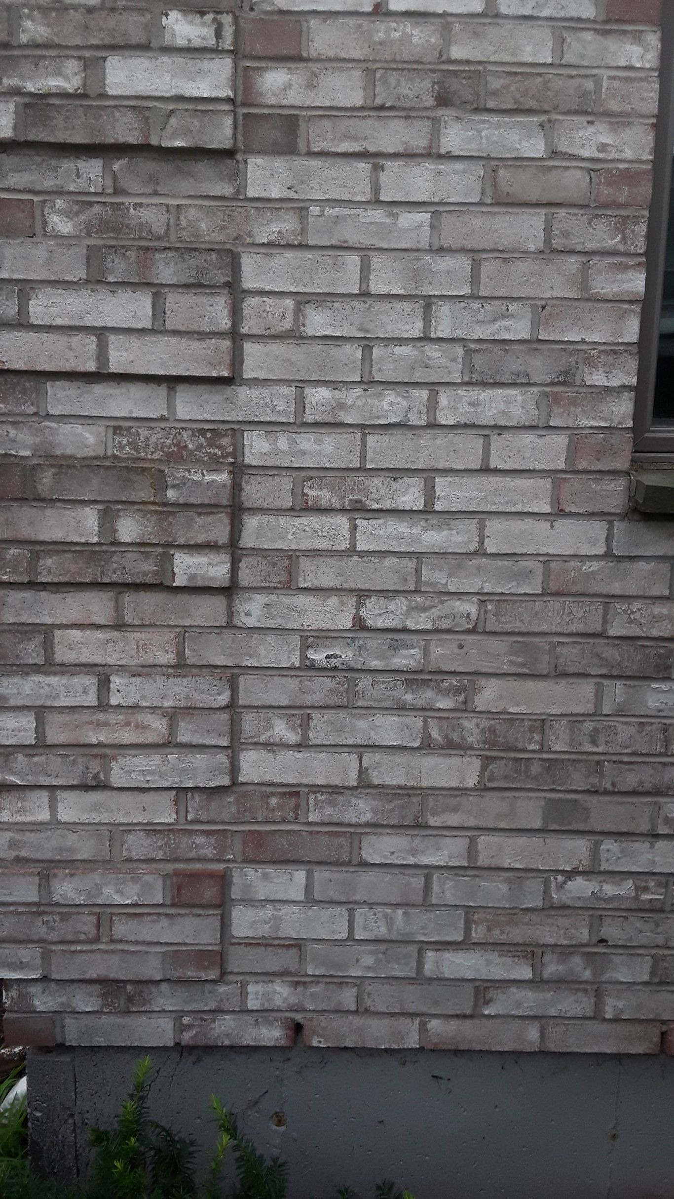 Patio & Paver Installation in 