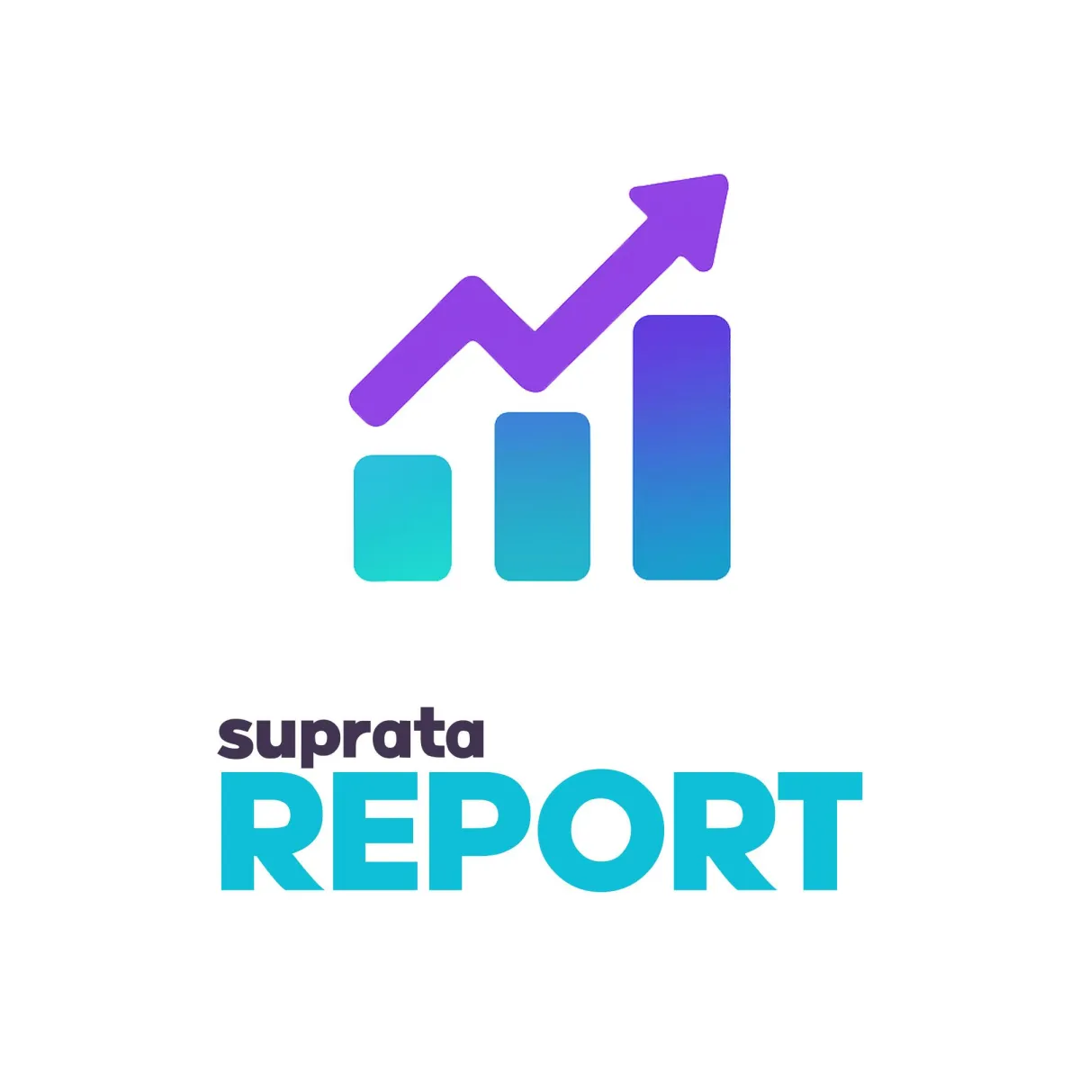 Suprata Report