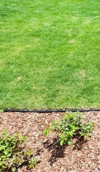 Landscaping company in Hinton AB finishing residential yard with fresh sod installation and green lawn