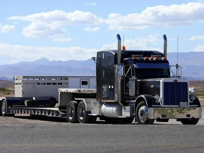 Commercial Vehicle Auctions