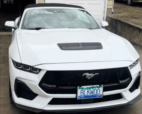 Paint Correction & Protection Kelowna, BC