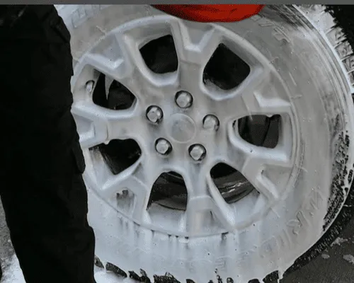 Paint Correction & Protection in Kelowna, BC