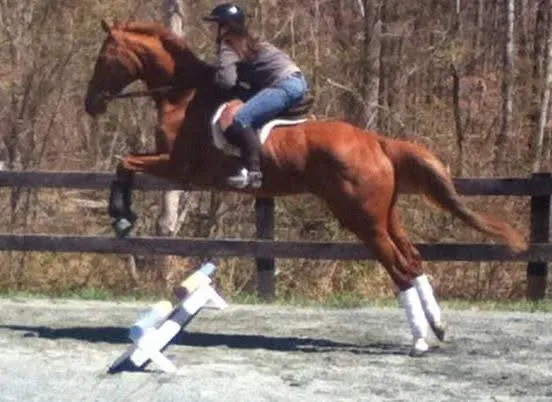 girl jumping horse