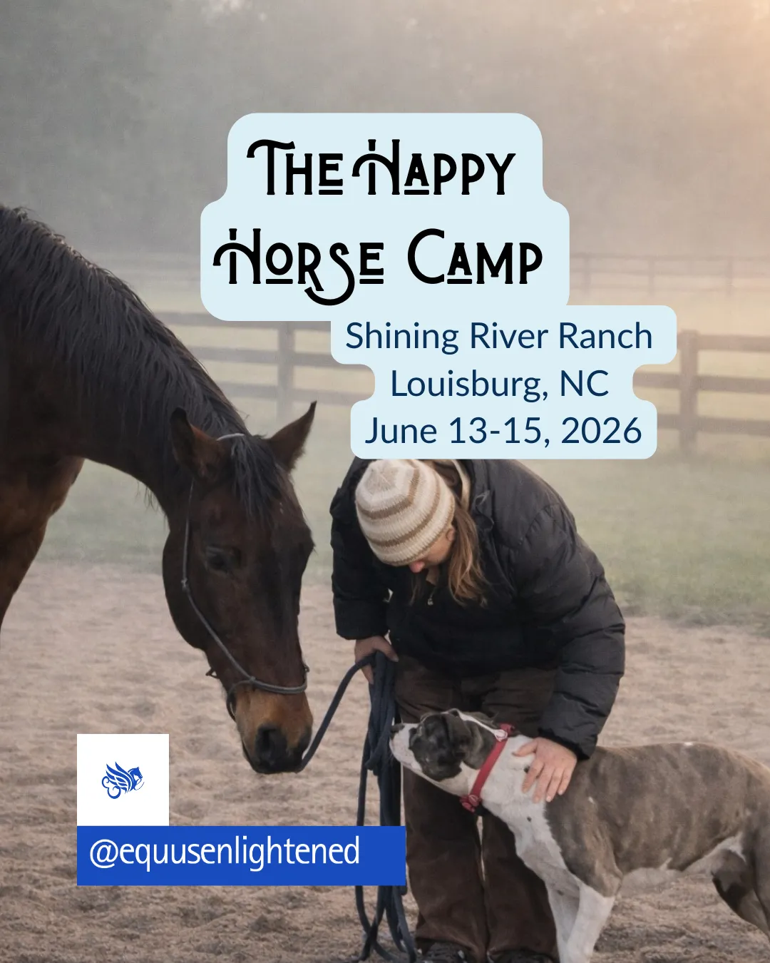 Happy Horse and Humans Camp