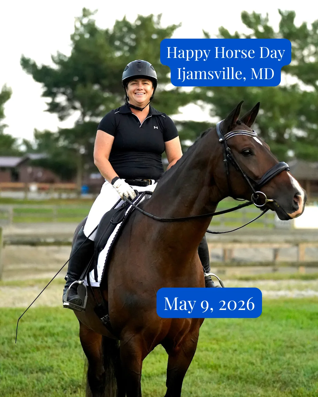 Happy Horse and Rider Day