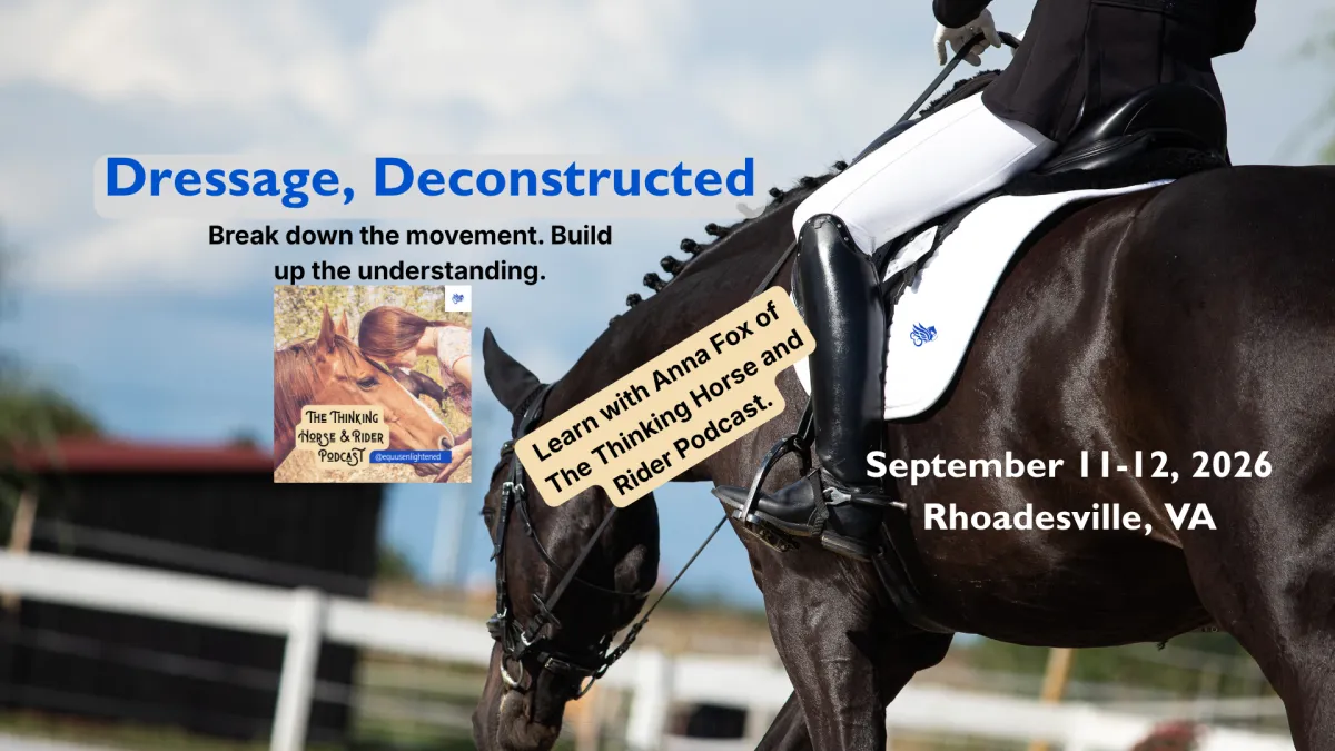 Dressage Clinic in VA, horsemanship for the dressage rider