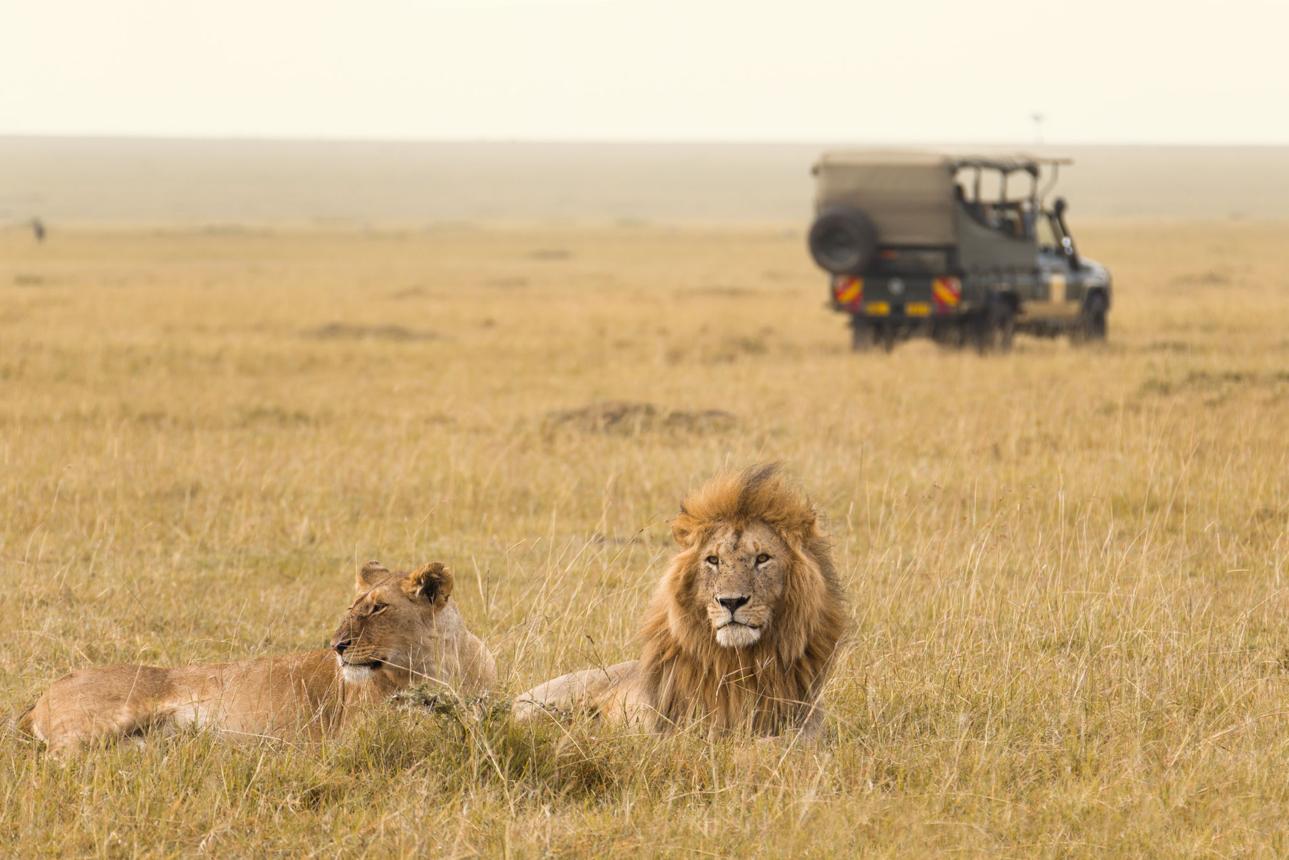 A serene luxury safari landscape in South Africa